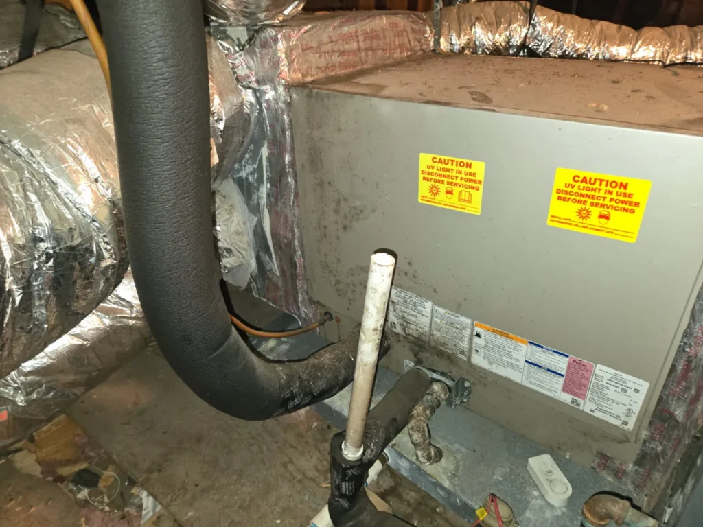 How Does Houston’s Humidity Cause Mold Growth in HVAC Systems