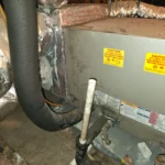 How Does Houston’s Humidity Cause Mold Growth in HVAC Systems